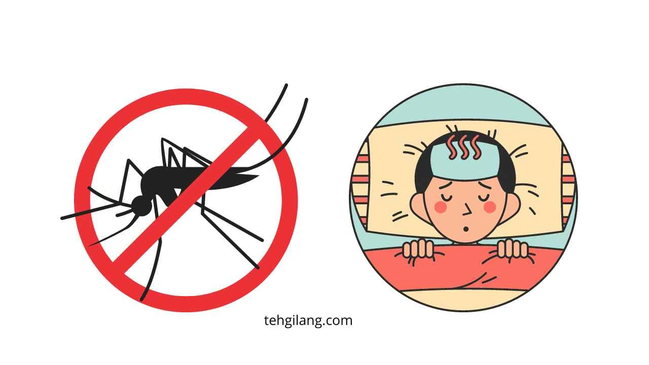 penyebab dbd atau demam berdarah salah satunya karena nyamuk