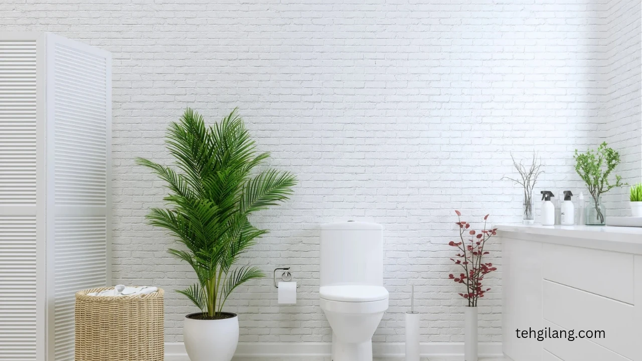 pentingnya memperhatikan tata letak toilet